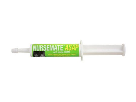 Nursemate Asap With Immu-Prime Colostrum Supplement For Calves 30 Ml by Nursemate For Discount