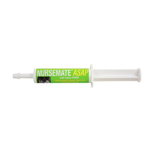 Nursemate Asap With Immu-Prime Colostrum Supplement For Calves 30 Ml by Nursemate For Discount