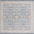 Safavieh Vivaldi VIV546 Light Blue   Ivory Area Rug For Cheap