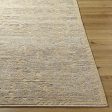 Surya Kimberly KRY-2303 Light Silver Area Rug Online now