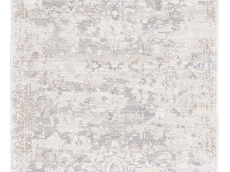 Safavieh Sabrina SBR841A Ivory   Grey Area Rug Online now