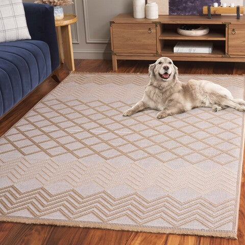 Safavieh Aspect APE460 Ivory   Natural Area Rug Online