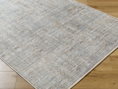 Becki Owens X Livabliss Darling BODA-2302 Metallic   silver Area Rug Fashion