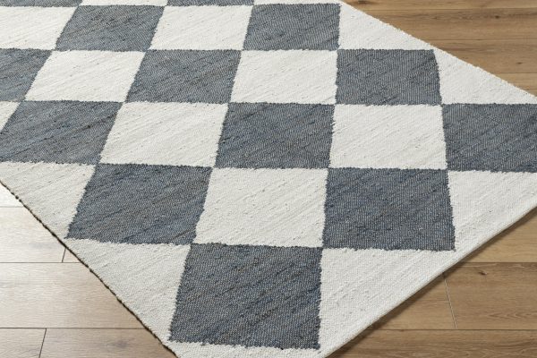 Vivir X Livabliss Antho VVAT-2302 Area Rug Supply