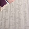 Safavieh Saylor SAY102 Beige   Ivory Area Rug on Sale