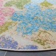 Safavieh Summer SMR410 Blue   Pink Area Rug on Sale