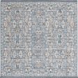 Safavieh Vivaldi VIV568 Light Blue   Ivory Area Rug Hot on Sale