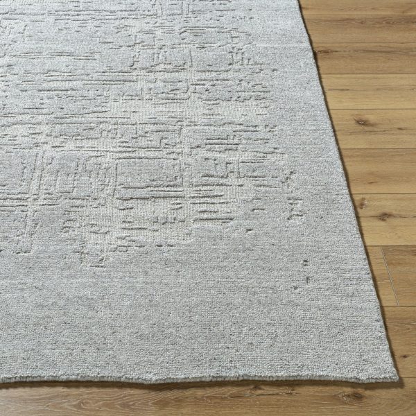 Surya Arbora AOB-2303 Slate Area Rug Sale