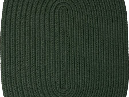 Colonial Mills Mary s Isle MI64 Dark Green Area Rug For Sale