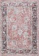 Safavieh Serapi SEP628 Rust   Grey Machine Washable Area Rug Online