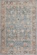 Safavieh Silverado SVD112 Blue   Rust Area Rug Hot on Sale