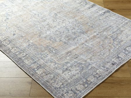 Becki Owens X Livabliss Darling BODA-2305 Metallic   silver Area Rug For Cheap