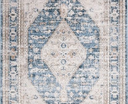 Safavieh Rosewood ROW108 Ivory   Blue Area Rug Fashion