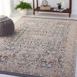 Safavieh Vivaldi VIV546 Blue   Ivory Area Rug For Sale