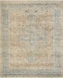 Surya Anatolia ANY-2310 Slate Grey Taupe Area Rug Online now