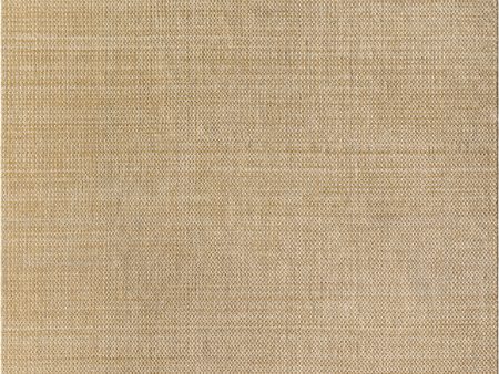 Surya Boston BBT-2307 Tan Area Rug Supply