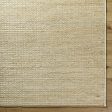 Surya Aria IAA-1003 Beige Area Rug For Cheap