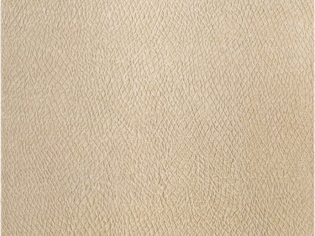 Surya Reyyan RHE-2300 Natural Area Rug Online