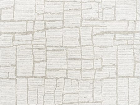 Surya Bianca BNC-2301 Off-White Area Rug For Sale