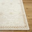 Surya Agora ARG-2300 Off-White Area Rug Hot on Sale