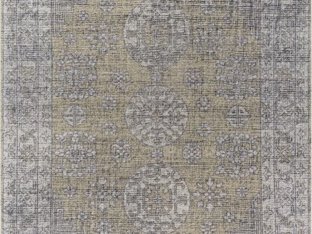 Surya Tulu TLU-2300 Area Rug For Cheap