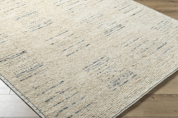 Surya Davey BODV-2302 Desert Tan Area Rug by Becki Owens For Sale