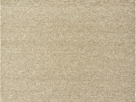 Surya Curly CUY-2302 Area Rug Supply