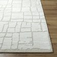 Surya Bianca BNC-2300 Light Silver Area Rug For Sale