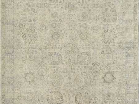 Surya Anatolia ANY-2312 Slate Grey Taupe Area Rug Online