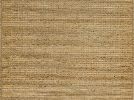 Surya Aria IAA-1002 Tan Area Rug Online now