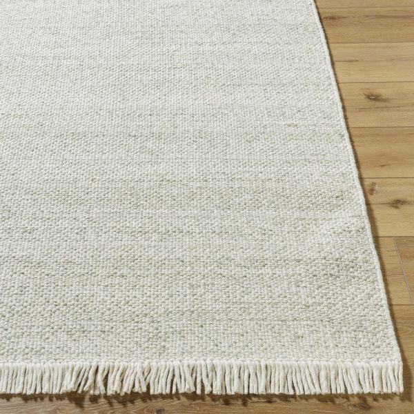 Surya Reliance RLI-2310 Ash Area Rug For Sale