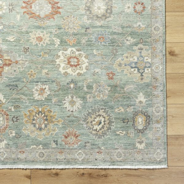 Surya Anatolia ANY-2313 Ash Area Rug For Discount