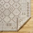 Surya Tempe TPE-2302 Ash Area Rug on Sale