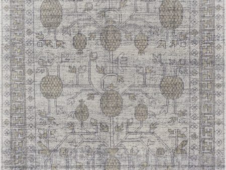 Surya Tulu TLU-2301 Area Rug Online now