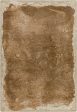 Surya Kavita KVT-2321 Walnut Area Rug Supply