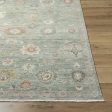 Surya Anatolia ANY-2313 Ash Area Rug For Discount