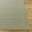 Surya Bolton BTO-2303 Prairie Dust Area Rug Online Sale