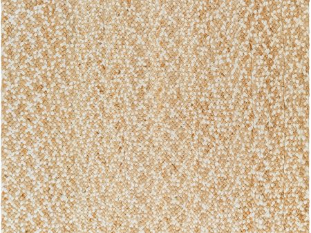 Surya Artesia AEA-2301 Tan Area Rug Cheap