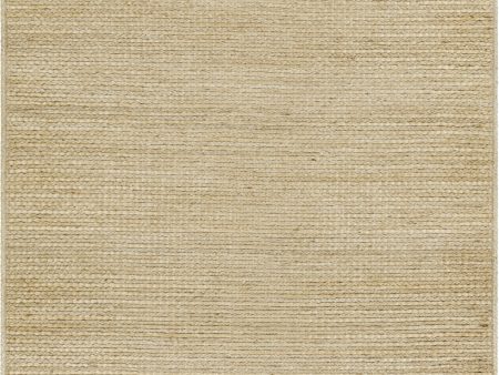 Surya Aria IAA-1003 Beige Area Rug For Cheap