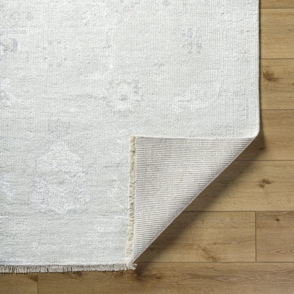 Surya Le Blanc LBC-2300 Light Silver Area Rug Online now