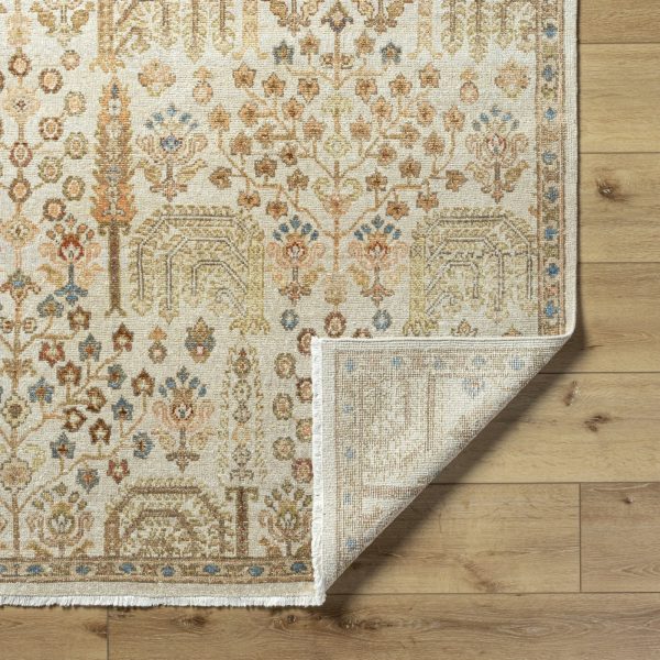 Surya Anelka ANK-2303 Ash Area Rug Hot on Sale