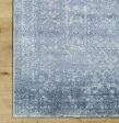 Surya Lille LEL-2301 Slate Area Rug Online now