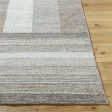 Surya Celtic CTC-2301 Warm Grey Area Rug Online Hot Sale