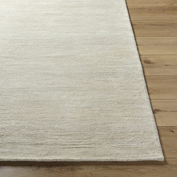 Surya Astana ATT-2300 Warm Grey Area Rug Discount