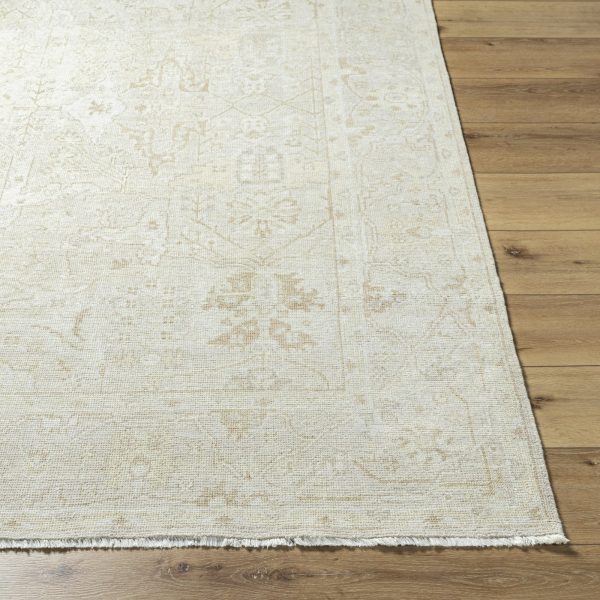 Surya Anelka ANK-2301 Light Silver Area Rug For Cheap