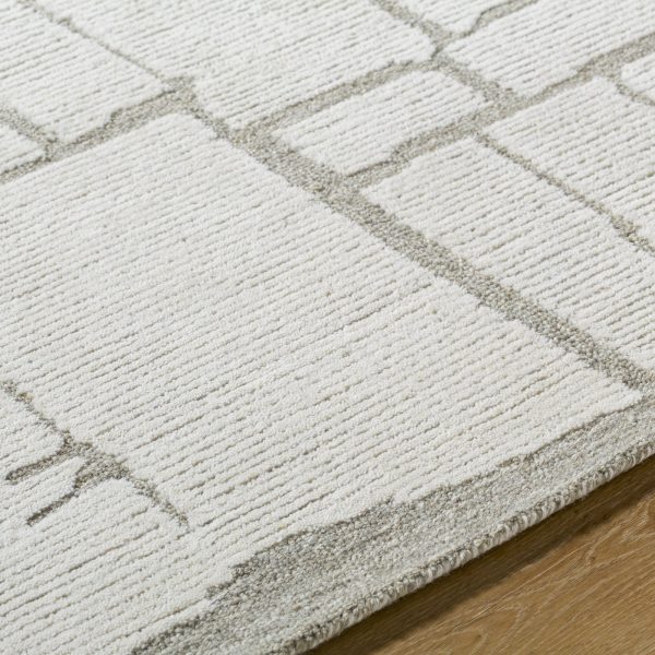 Surya Bianca BNC-2301 Off-White Area Rug For Sale