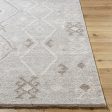 Surya Tempe TPE-2300 Sterling Grey Area Rug Online