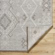 Surya Tempe TPE-2300 Sterling Grey Area Rug Online