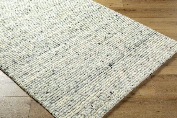 Surya Ronin RIN-2301 Ash Area Rug Sale