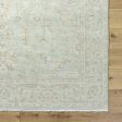 Surya Anelka ANK-2300 Light Silver Area Rug Fashion